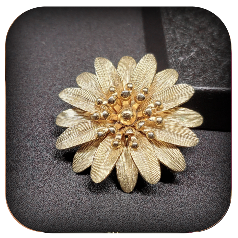 Brooches & Pins