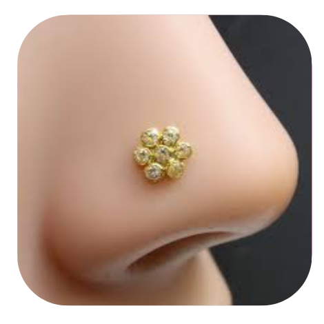 Nose Pins